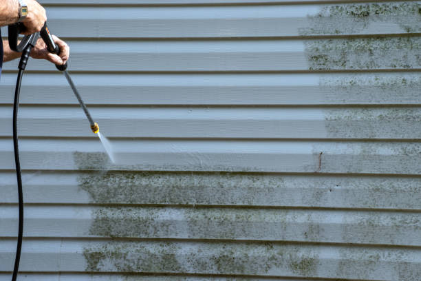 Affordable siding repair and maintenance services in Yardville, NJ