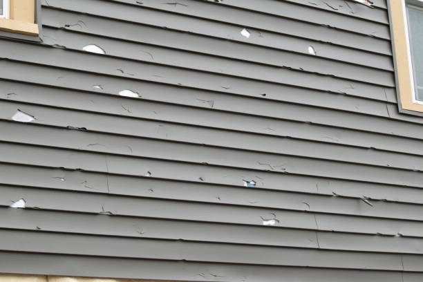 Best Custom Trim and Detailing for Siding  in Yardville, NJ